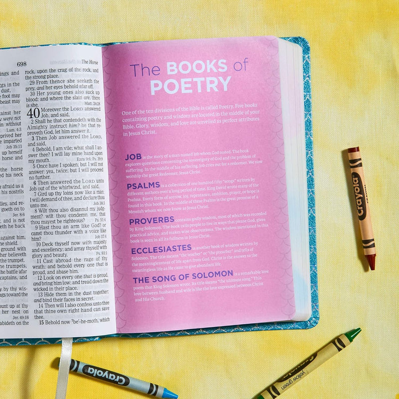 KJV Kids Bible, Aqua Leather Touch by Holman Bible Staff