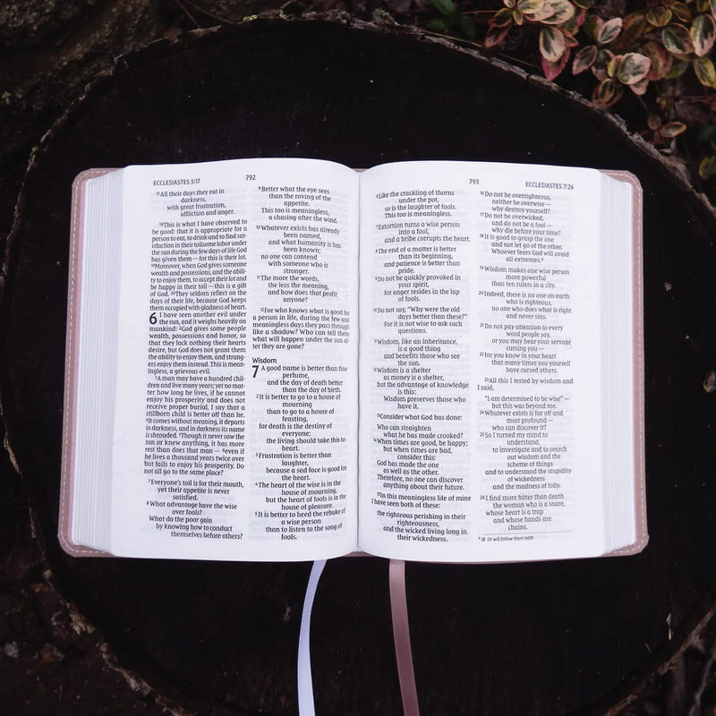 NIV Larger Print Compact Bible by Zondervan