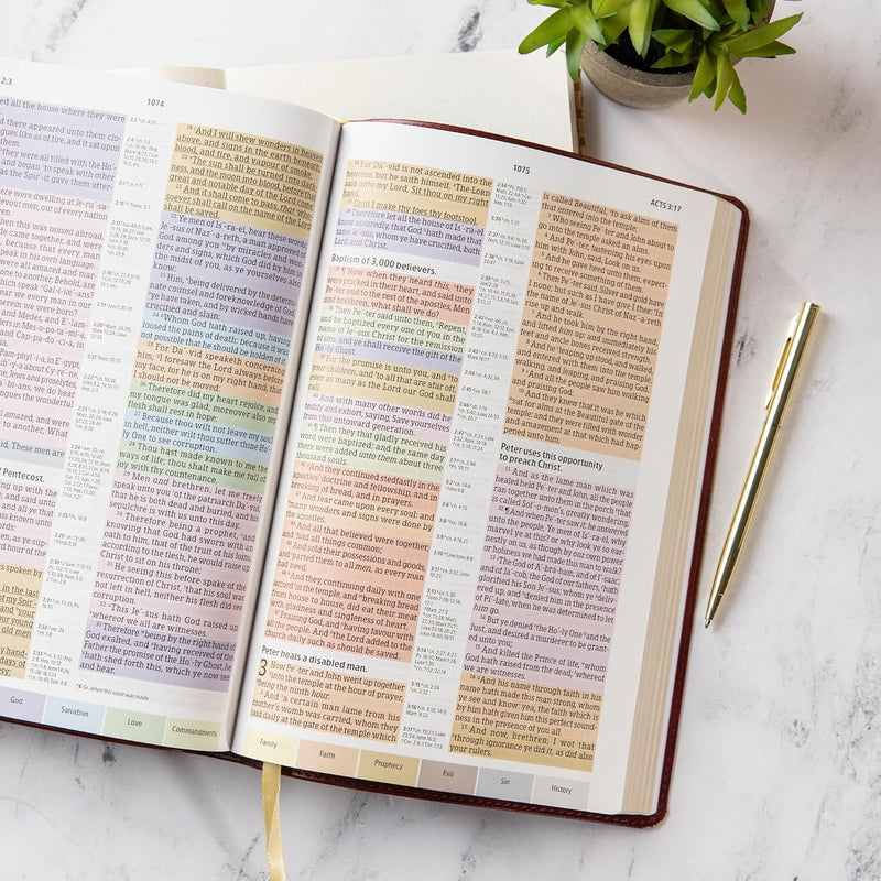 KJV Rainbow Study Bible – Burgundy Leather touch by Holman Bible Publishers