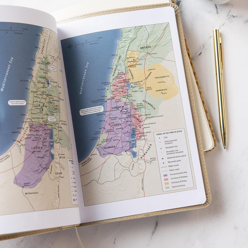 KJV Thinline Bibel Gold Leathertouch Edition von Holman