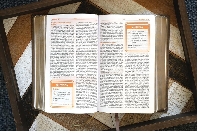 KJV Teen Study Bible, Leathersoft Brown, Comfort Print von Zondervan
