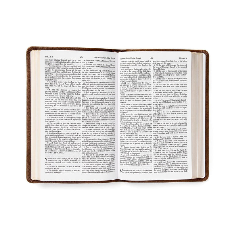 KJV Personal Size Bible, Brown Leathertouch by CSB Bibles by Holman