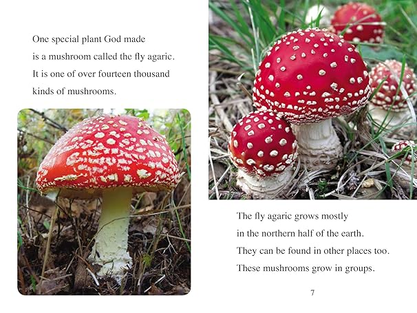 Poisonous, Smelly, and Amazing Plants by Mary Hassinger