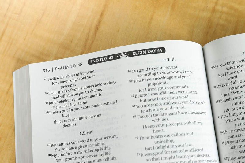 Bible in 90 Days – NIV by Zondervan