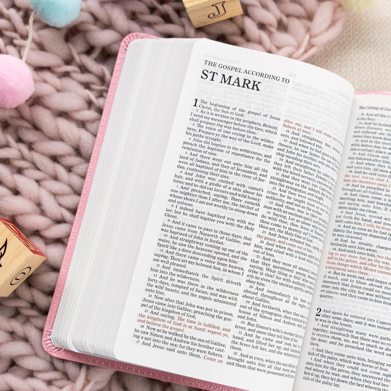 KJV Great and Small Bible, Pink LeatherTouch by Holman Bible Publishers