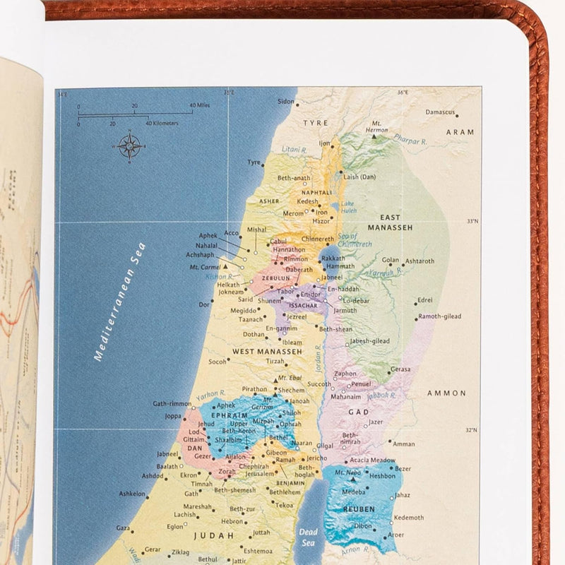 NASB Large Print Compact Reference Bible, Burnt Sienna Leathersoft by Holman Bible Publishers