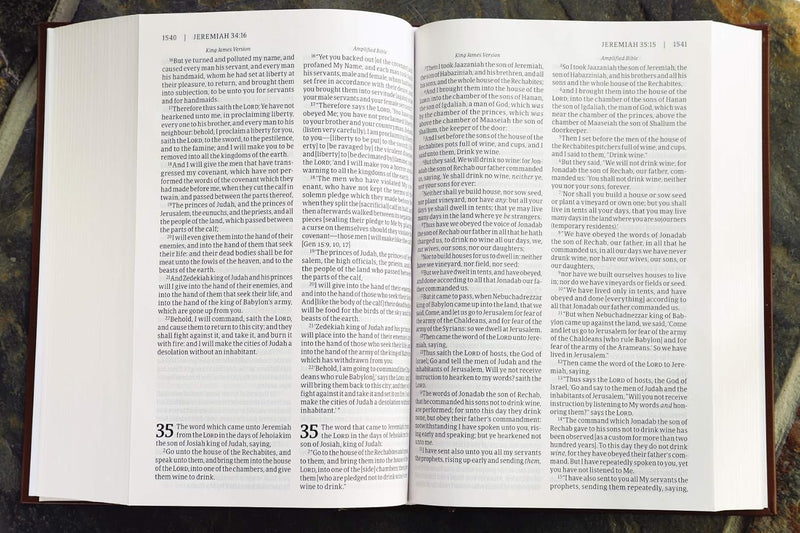 KJV AMP Parallel Bible by Zondervan