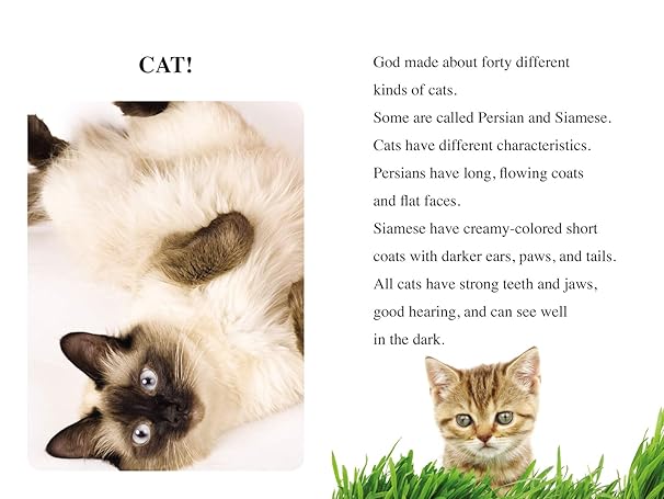 Cats, Dogs, Hamsters, and Horses by Zondervan