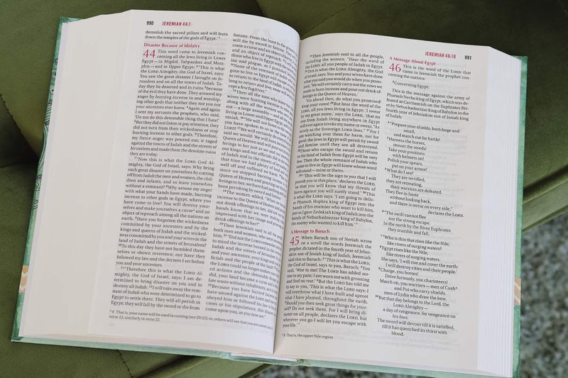 NIV Bible for Teen Girls by Zondervan