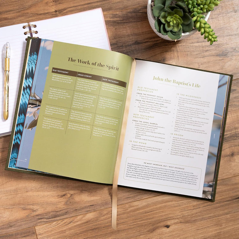 The New Testament Handbook by Holman Reference