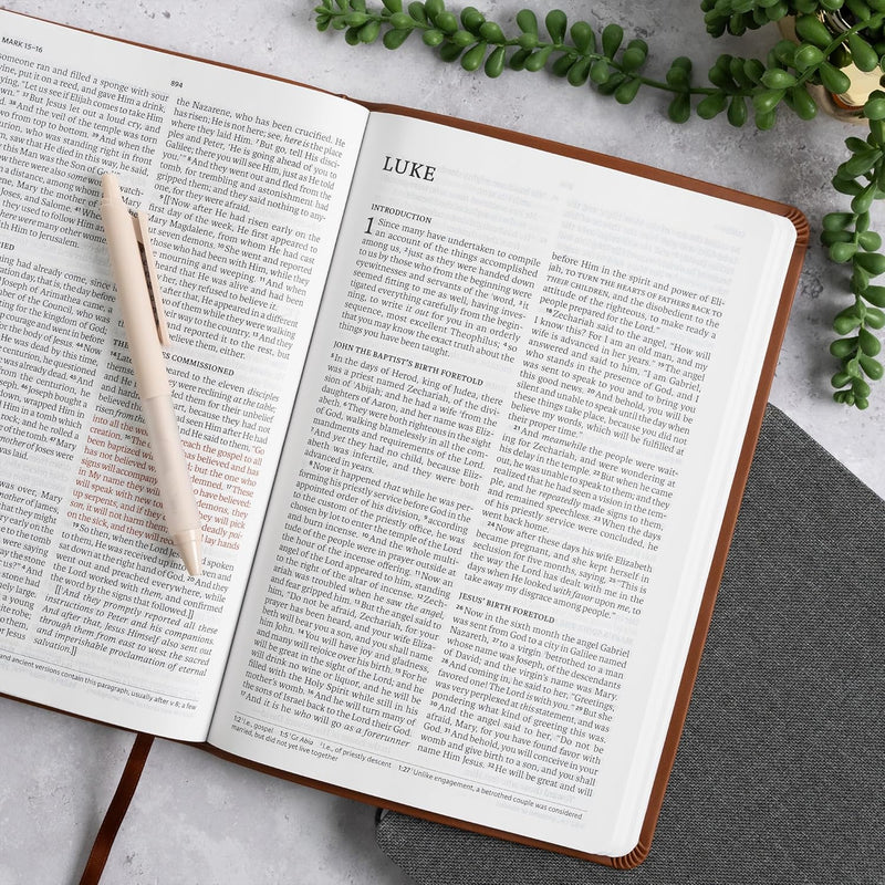 NASB-Großdruck-Thinline-Bibel, Value Edition, braunes Leder von Holman Bible Publishers