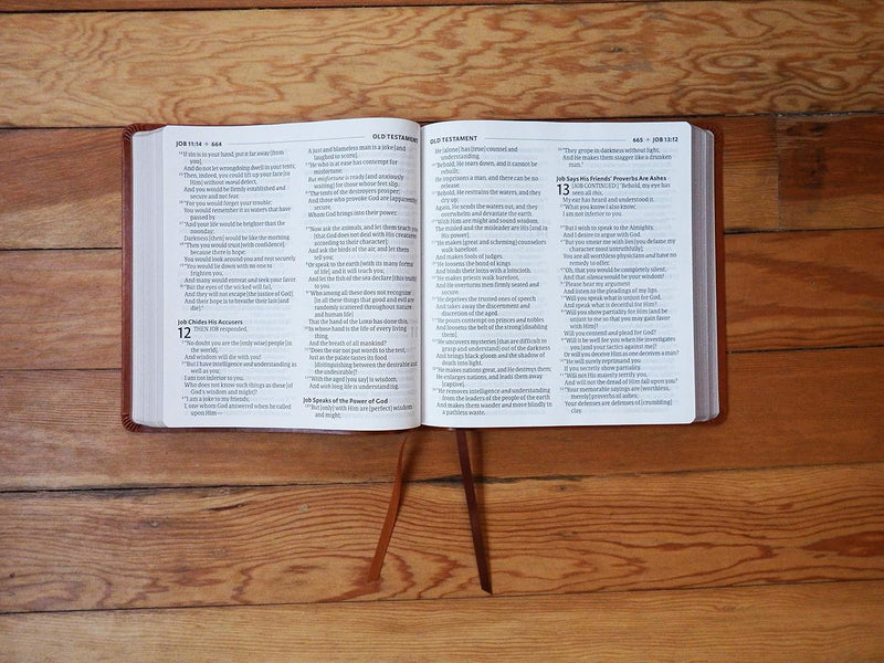 Amplified Holy Bible – XL Edition by Zondervan