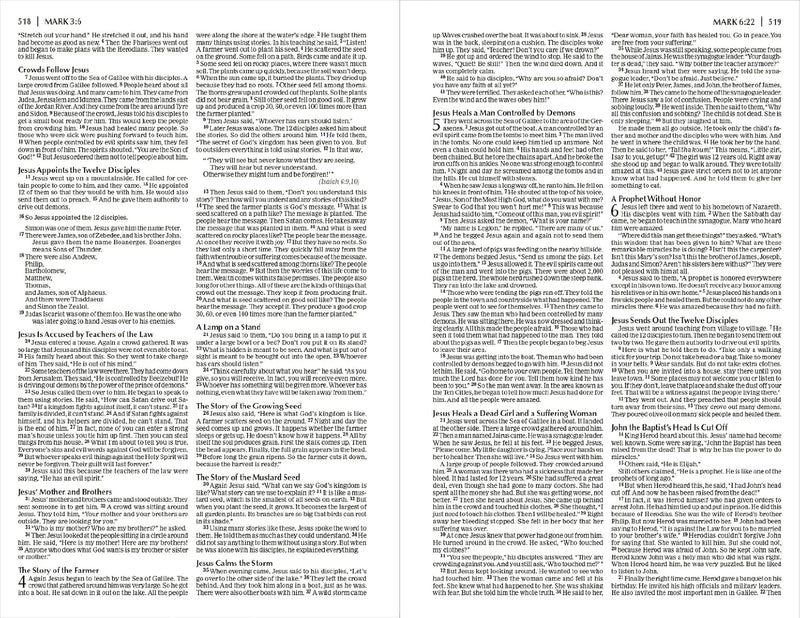 NIrV, Economy Bible, Paperback: Easy to read. Easy to share. by Zondervan