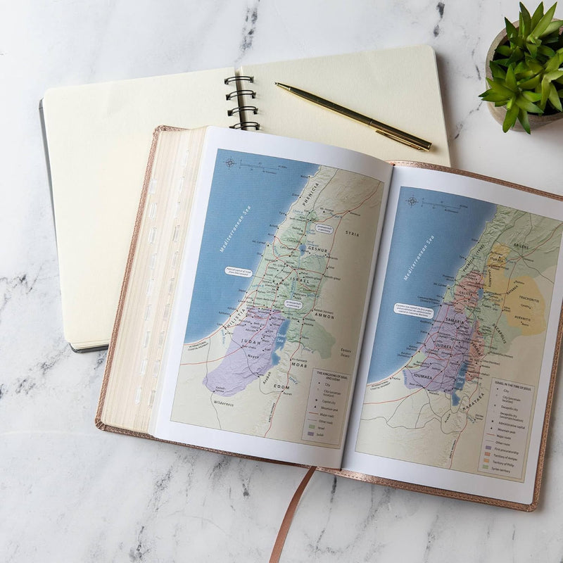 KJV Essential Teen Study Bible – Rose Gold, Leathertouch by Holman Bible Publishers