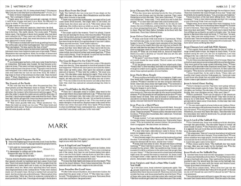 NIrV Economy Bible by Zondervan