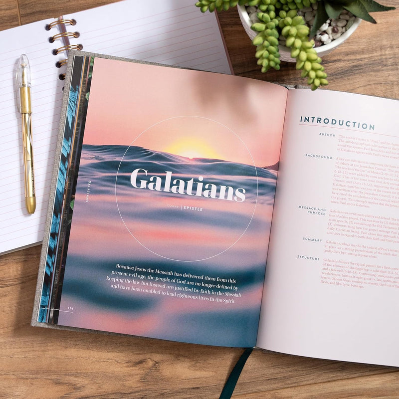 The New Testament Handbook: A Visual Guide Through the New Testament by Holman Reference