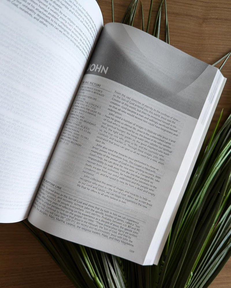 The Life Recovery Bible: New Living Translation, Personal Size by Tyndale House Publishers