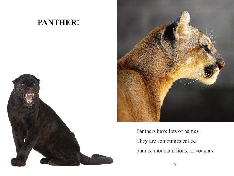 Jungle Beasts: Level 2 (I Can Read! / Made By God) by Zondervan