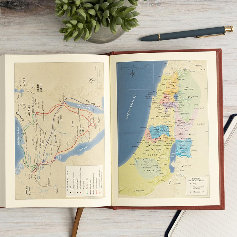 NASB Notetaking Bible, Large Print Edition, Cinnamon Brown Cloth Over Board by Holman Bible Publishers