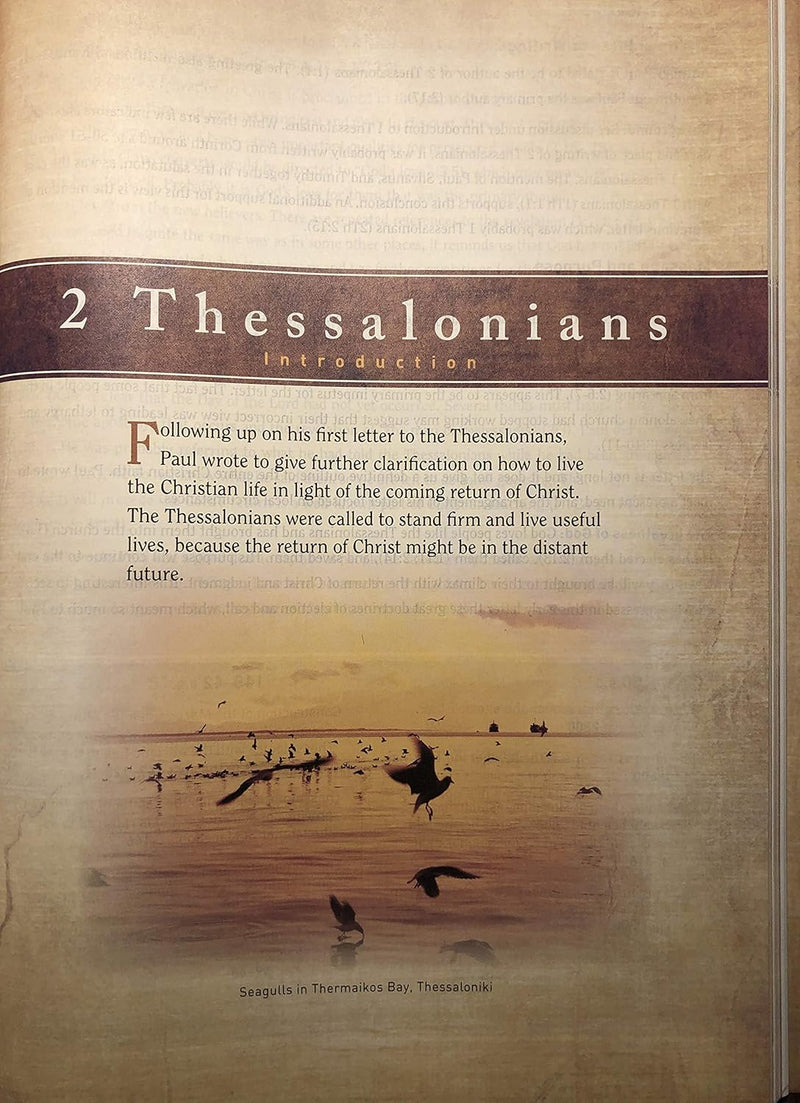 HCSB Large Print Study Bible, Hardcover by Holman Bible Staff