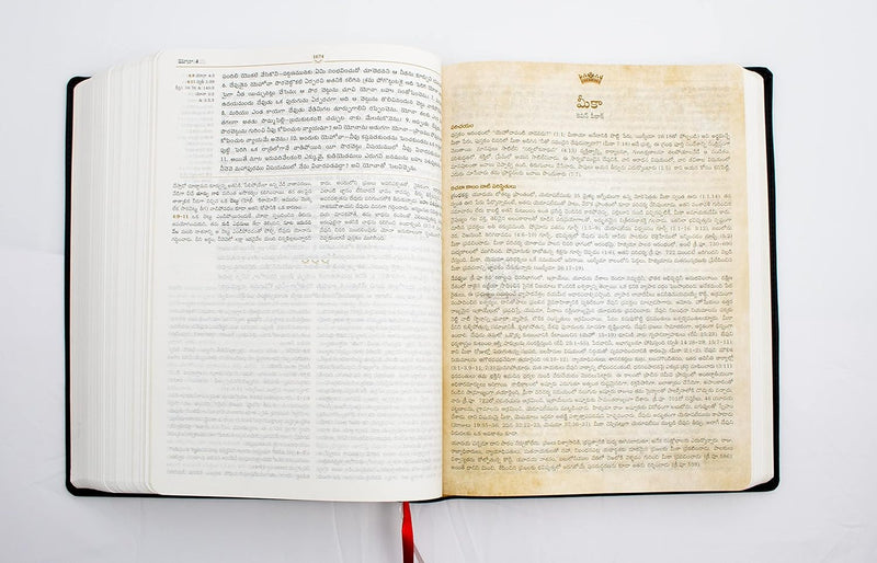 Lifeway Telugu Study Bible by LifeWay India Publishing Pvt Ltd