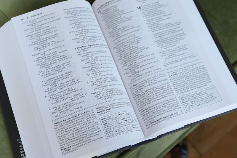 Foundation Study Bible – New International Version (NIV)  by Zondervan)