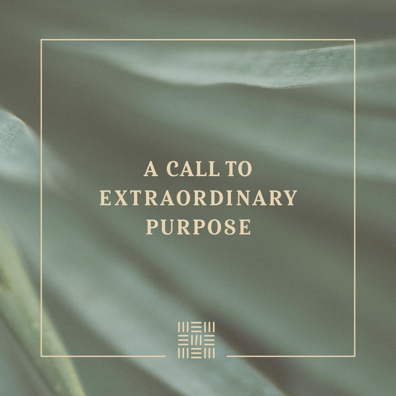 Holy Bible: New Living Testament Every Woman’s Bible by Tyndale House Publishers