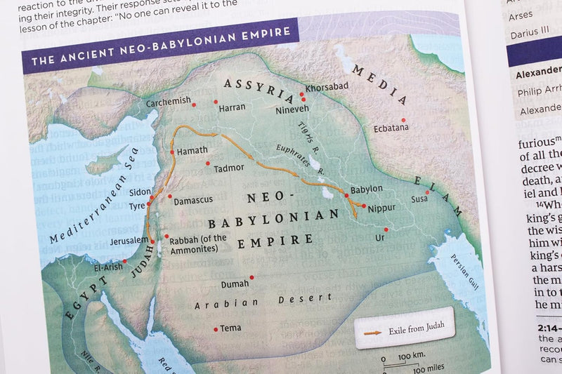 Heilige Bibel: Neue internationale Version, Mehrfarbig, Rote Buchstaben, Komfortdruck, Bringt die alte Botschaft der Bibel in Ihre Welt von Zondervan