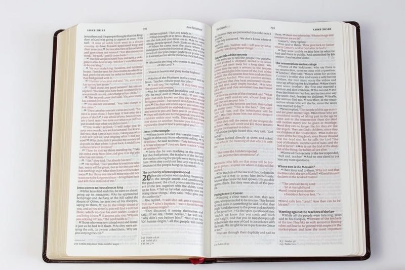 NIV English Bible – Brown Anglicised Version  by Biblica