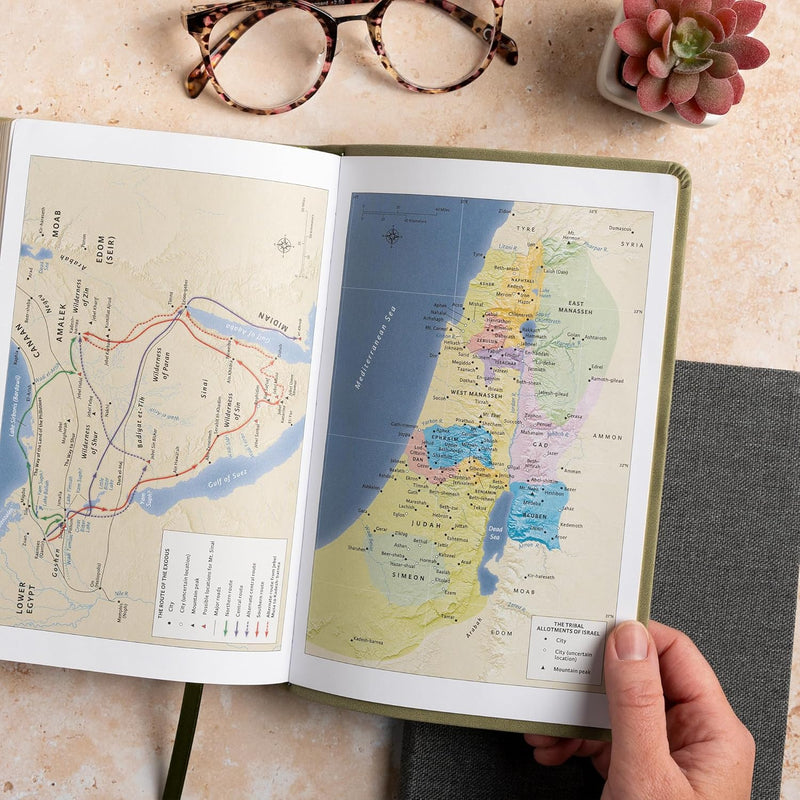 KJV Large Print Personal Size Reference Bible, Sage SuedeSoft LeatherTouch, Indexed by Holman Bible Publishers