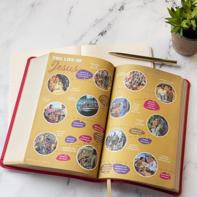 KJV Kids Bible – Pink Leather touch by Holman Bible Publishers