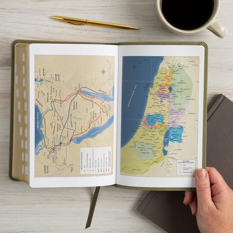 NASB Large Print Personal Size Reference Bible, Sage SuedeSoft LeatherTouch, Indexed by Holman Bible Publishers