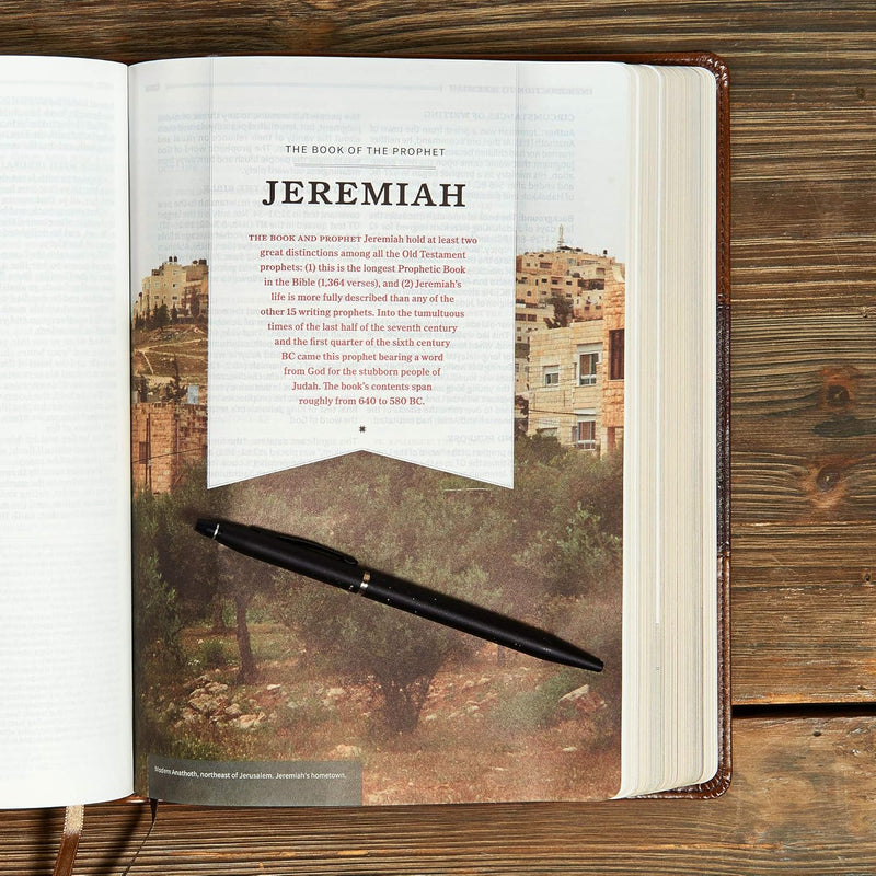 KJV Study Bible, Full-Color, Saddle Brown LeatherTouch by Holman Bible Publishers