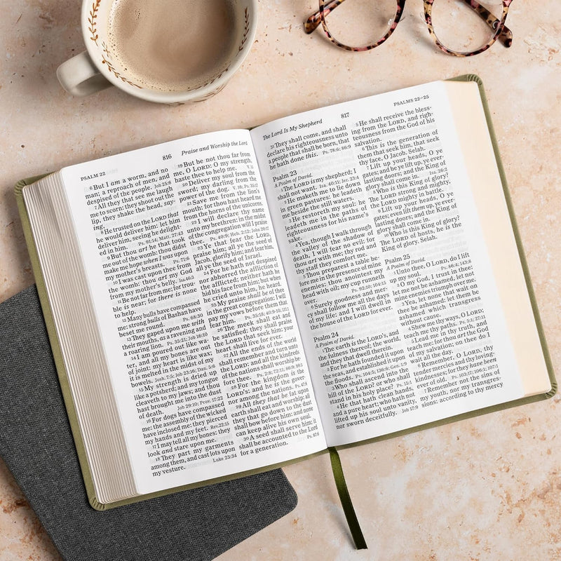 KJV-Referenzbibel in Großdruck, persönliche Größe, Salbeigrün, Wildleder, weicher Lederbezug von Holman Bible Publishers