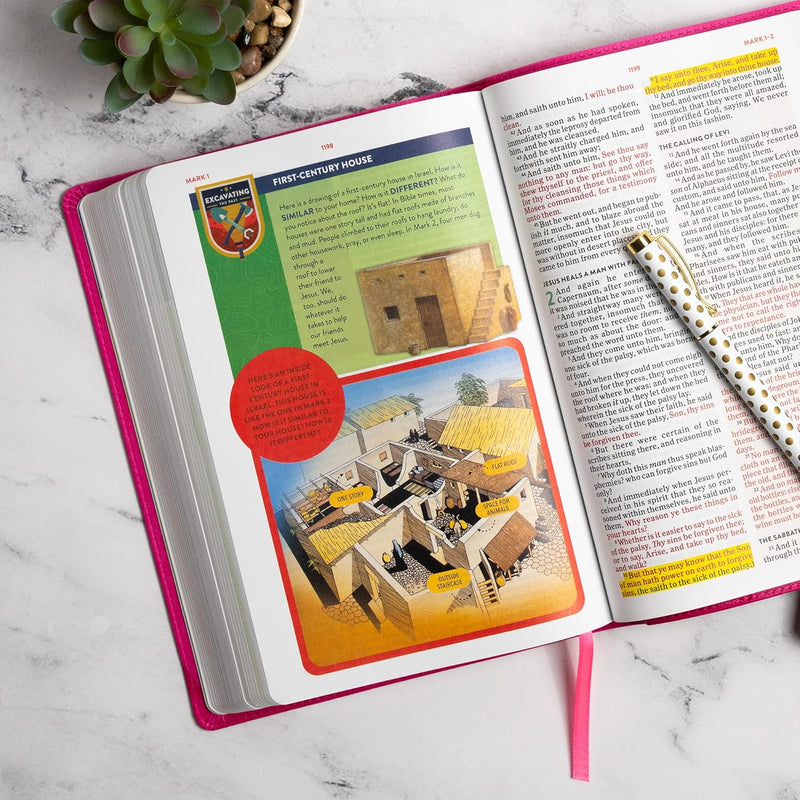 KJV Explorer Bible for Kids, Bubble Gum LeatherTouch by Holman Bible Publishers