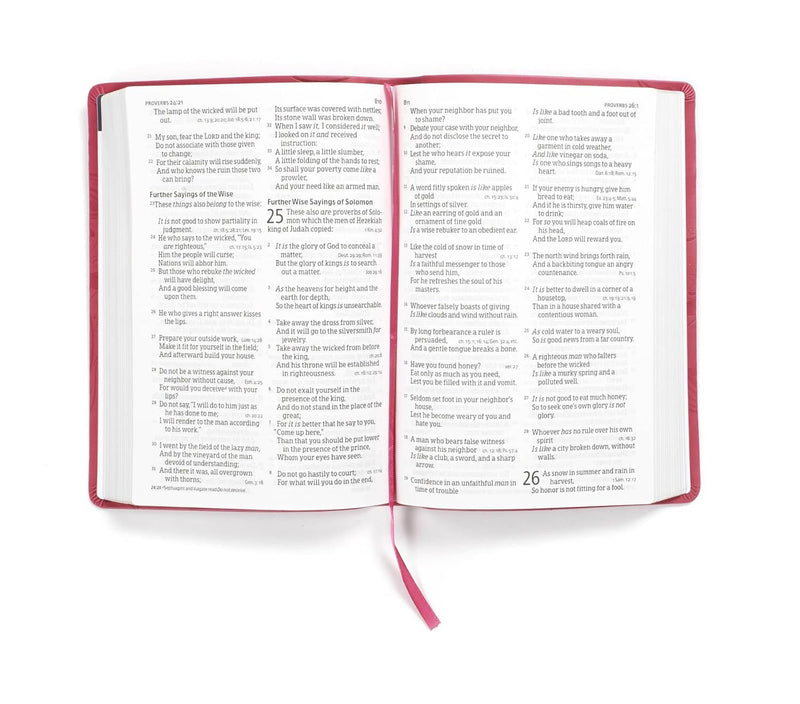 NKJV Large Print Personal Size Reference Bible, Pink LeatherTouch by Holman Bible Staff