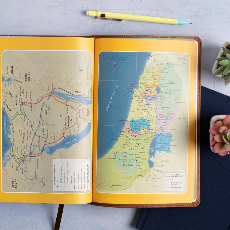 KJV Explorer Bible for Kids, Brown Leather Touch Placing God's Word in the Middle of God's World by Holman Bible Publishers