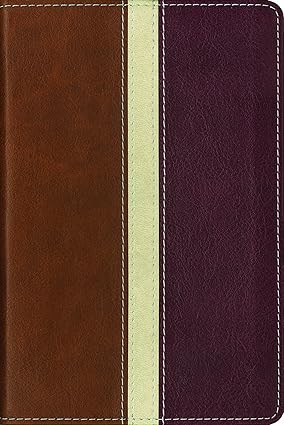 Busy Life Bible, Daily Inspiration – Even If You Only Have One Minute by Zondervan