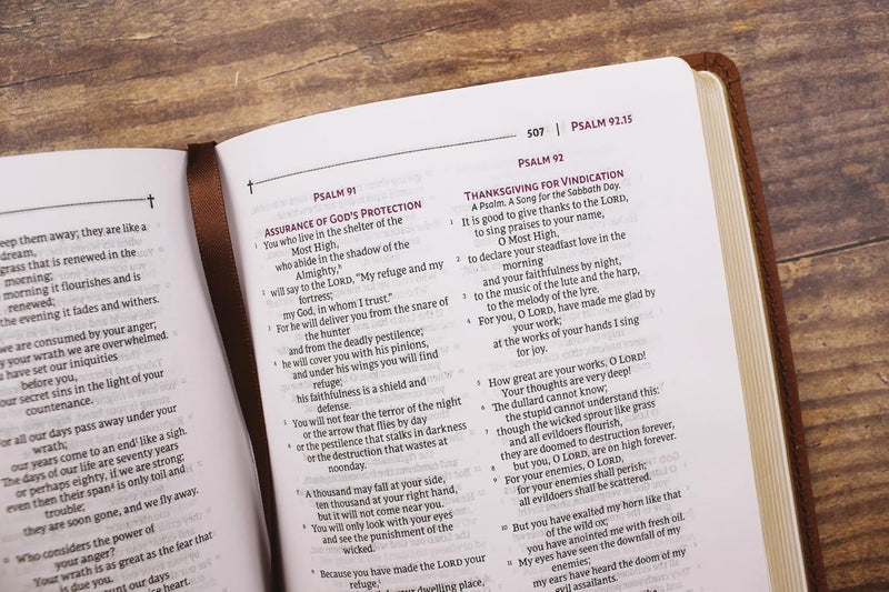 NRSVue, Holy Bible (Leathersoft, Brown, Comfort Print) by Zondervan