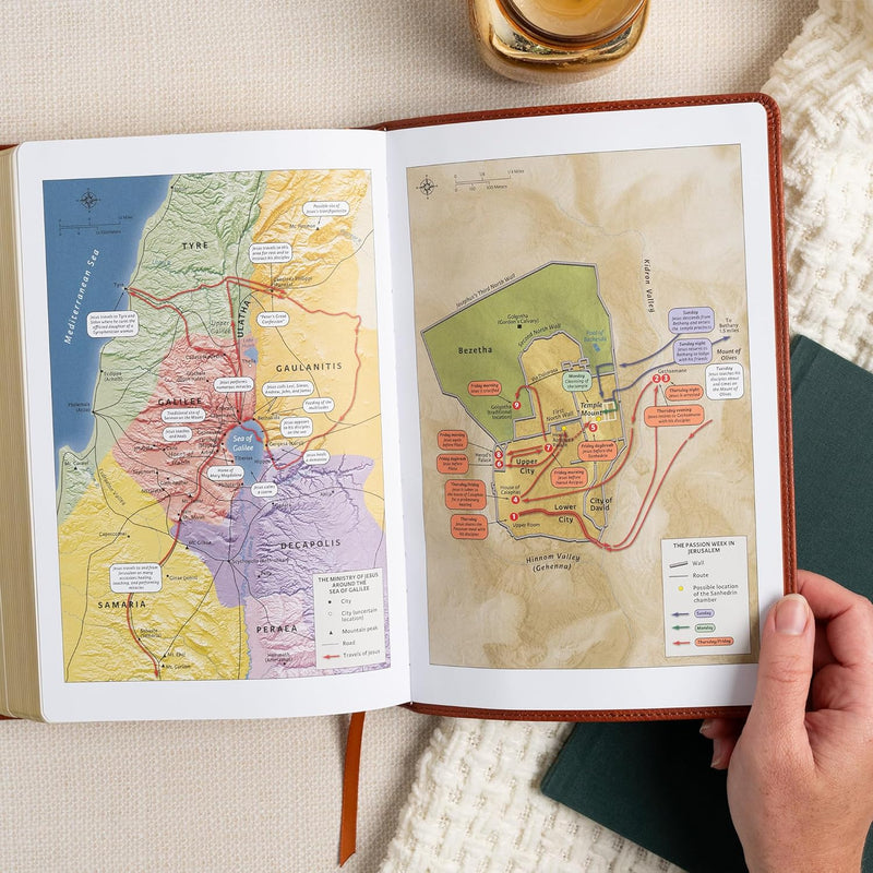 Giant Print Reference Bible, Burnt Sienna LeatherTouch by Holman Bible Publishers