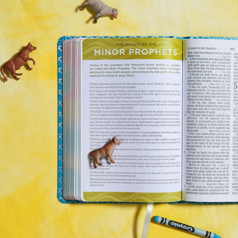 KJV Kids Bible, Aqua Leather Touch by Holman Bible Staff