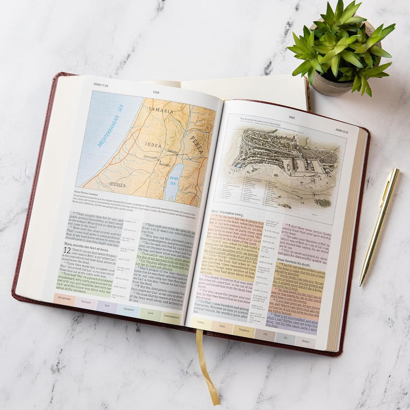 KJV Rainbow Study Bible – Burgundy Leather touch by Holman Bible Publishers