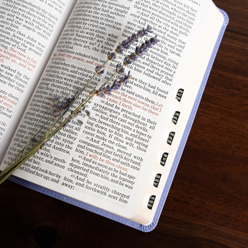 Personal Size Giant Print Bible, Lavender LeatherTouch, Indexed by Holman Bible Publishers