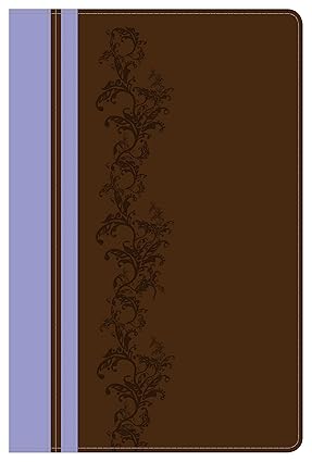 NIV Rainbow Study Bible, Imitation Leather, Brown/Lavender by Holman Bible Staff