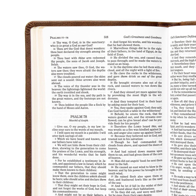 KJV Personal Size Bible, Brown Leathertouch by CSB Bibles by Holman