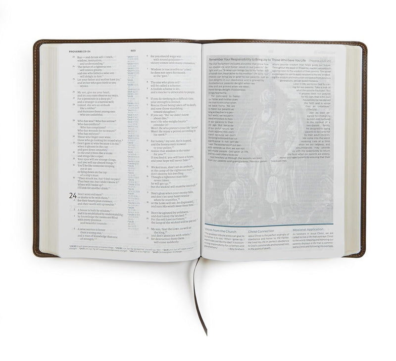 The Gospel Project Bible, Christ Ascending, Brown Leather Touch by Holman Bible Staff