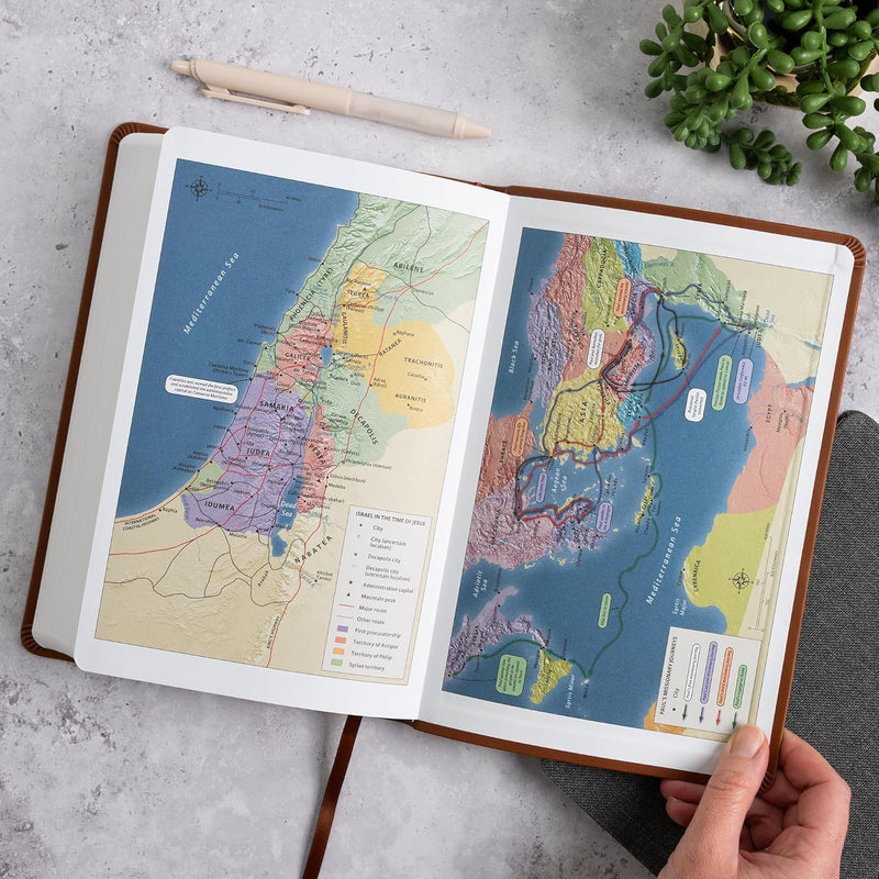 NASB-Großdruck-Thinline-Bibel, Value Edition, braunes Leder von Holman Bible Publishers