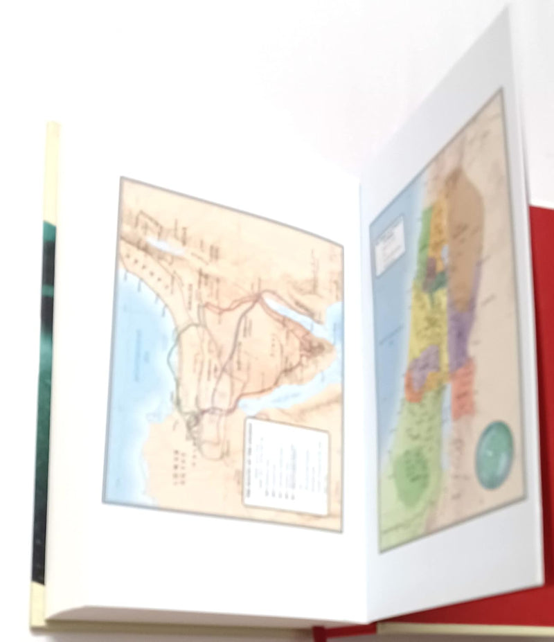 King James Version (KJV) von Holman Bible Staff 