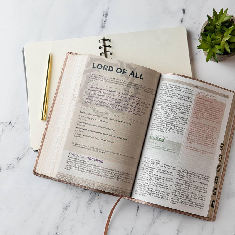 KJV Essential Teen Study Bible – Rose Gold, Leathertouch by Holman Bible Publishers