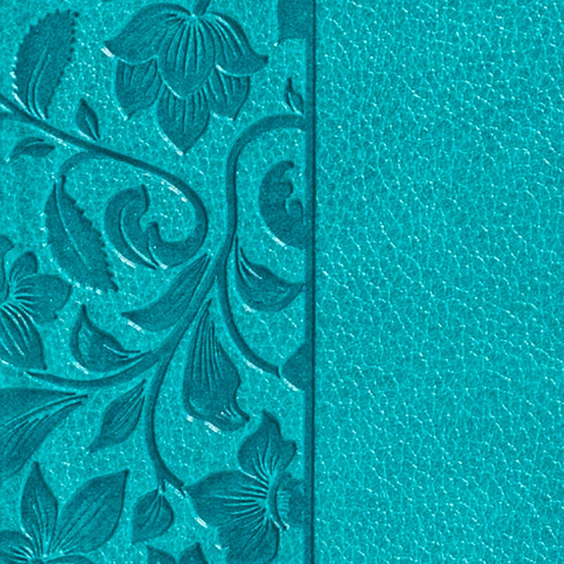 New American Standard Bible (NASB), 2020 Edition by Holman Bible Publishers